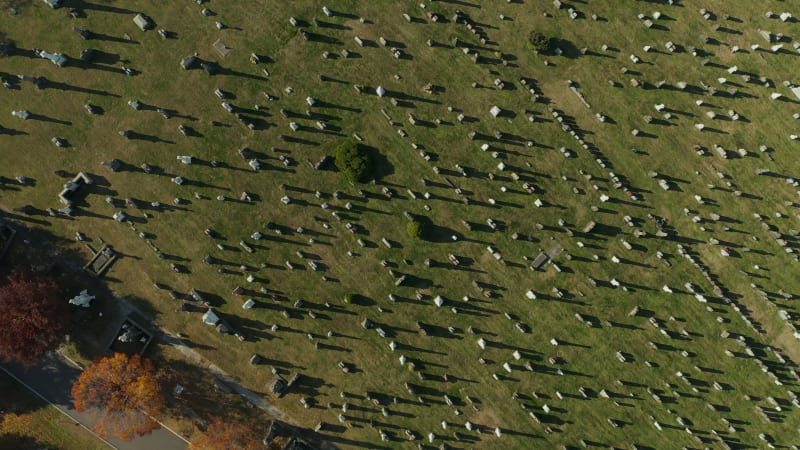 Aerial birds eye overhead top down view of large historic Calvary Cemetery. Tombstones casting shadows on green lawn. Queens, New York City, USA