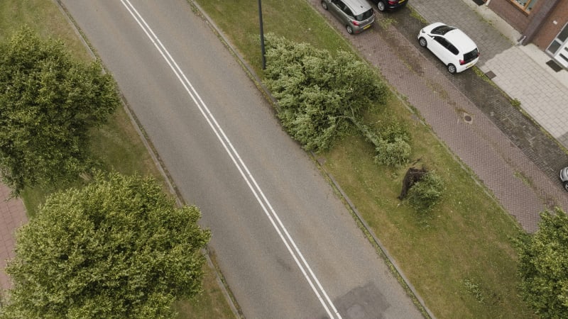 Aerial view of a fallen tree post-storm Poly in Heemskerk, Netherlands. July 2023.