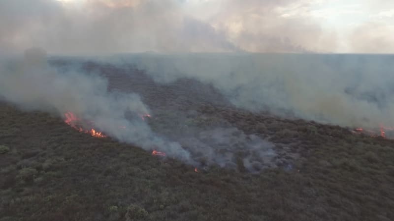 Aerial view of a small wildfire burning vegetation.