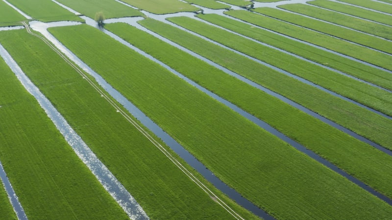 Aerial view of an large irrigated field