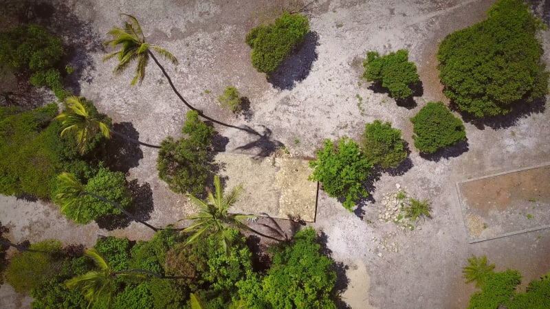 Aerial view of droner taking off in the tropics.