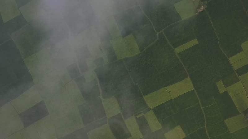 Aerial View of Cultivated field in the clouds, Shibchar, Dhaka, Bangladesh.