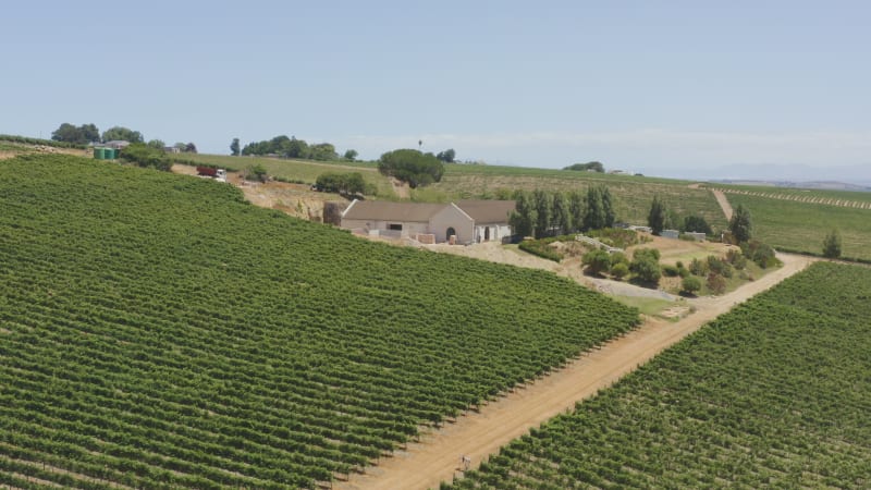 Aerial Orbit Shot of a Winery Estate in South Africa