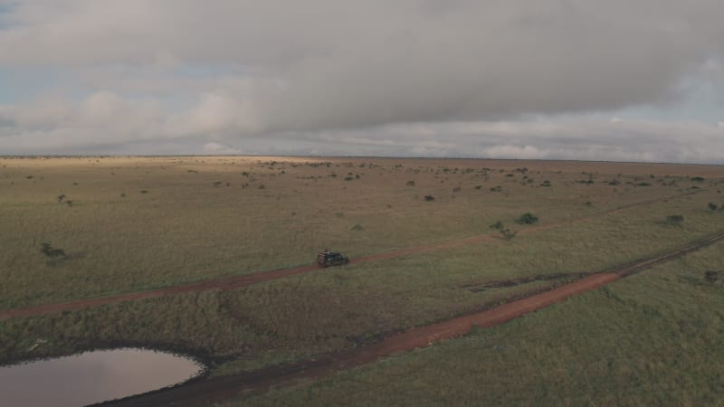 Offroad vehicle following elephant on African safari