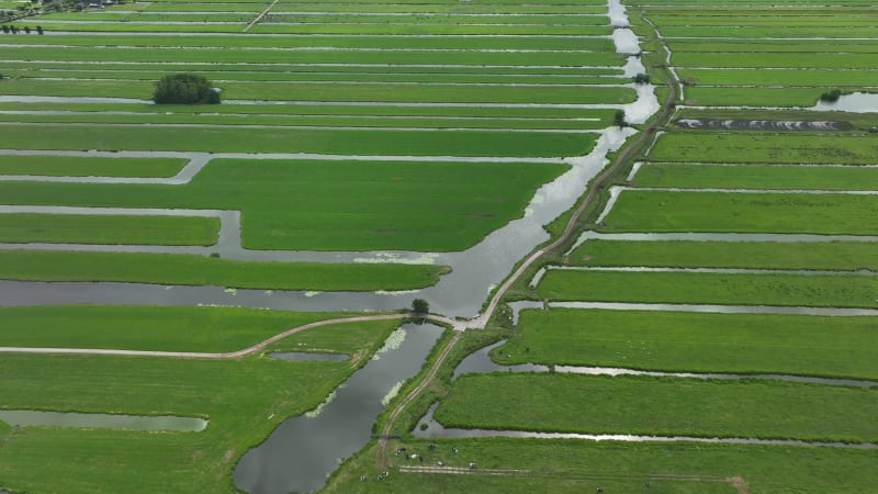 Agricultural Scenery in Krimpenerwaard, Netherlands