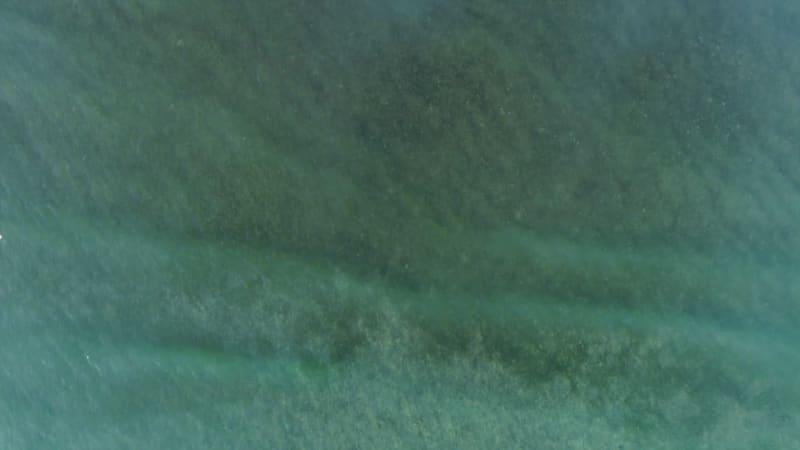 Aerial view of transparent water beach.