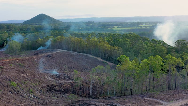 Aerial view of a deforestation in Queensland, Australia.