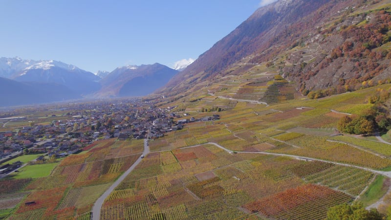 Valais Wine Region Switzerland's Largest Vineyard and Wine Production Area