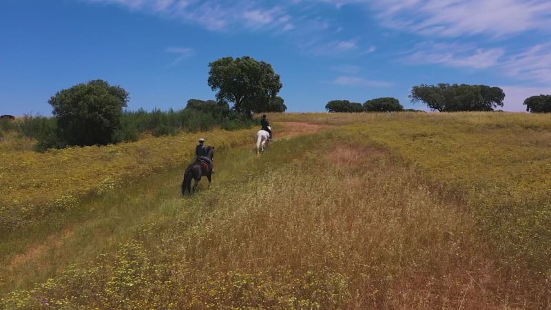 Aerial view of horse back riders on large ranch estate.