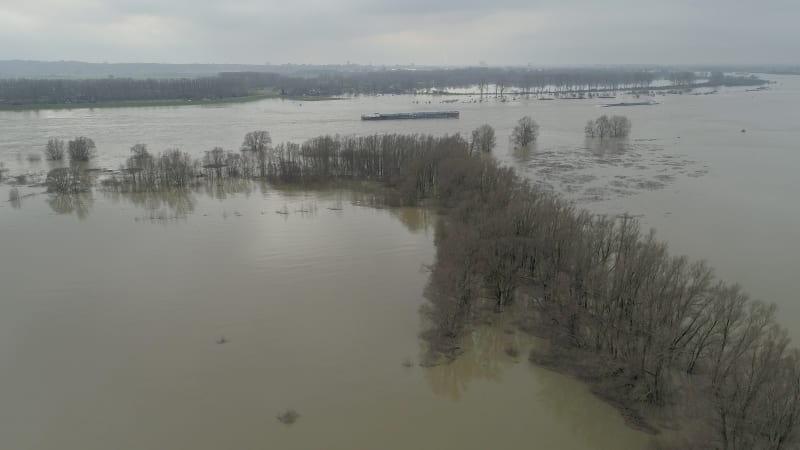 Aerial view of trees in high water in the river Waal, Gelderland, Netherlands.