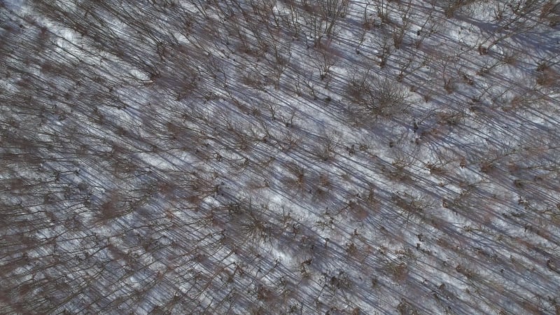 Aerial view of a winding road in the snowy hills of Greece.