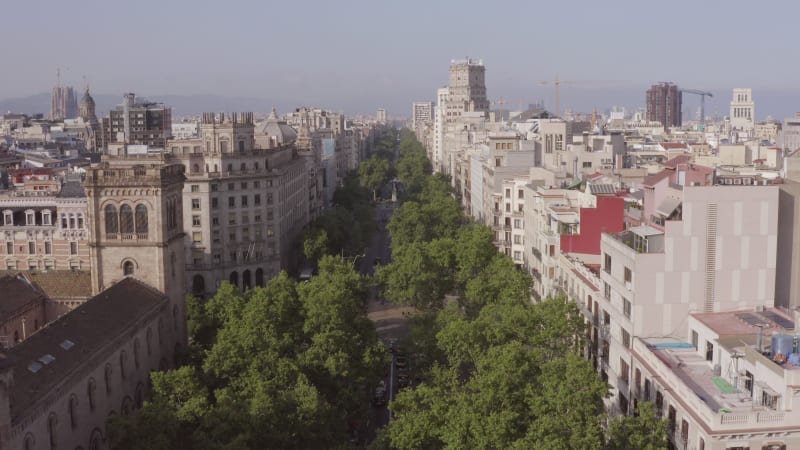 Grand Via in Barcelona a Treelined Street in the Bustling Gothic City