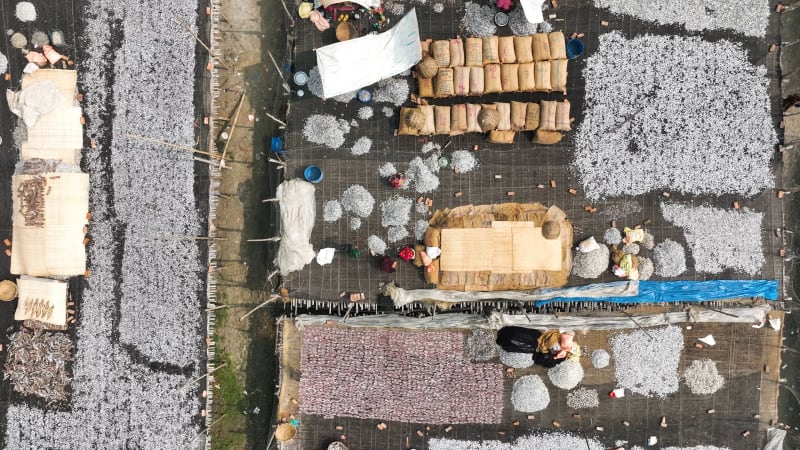 Aerial View of people working in a fishing farm, Bangladesh.