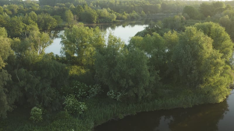 Flying over a peninsula covered in thick vegetation