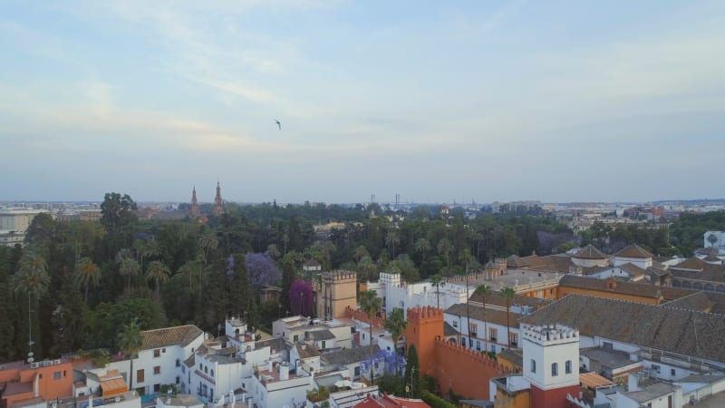 Rising View of the City of Seville, Spain in the Evening