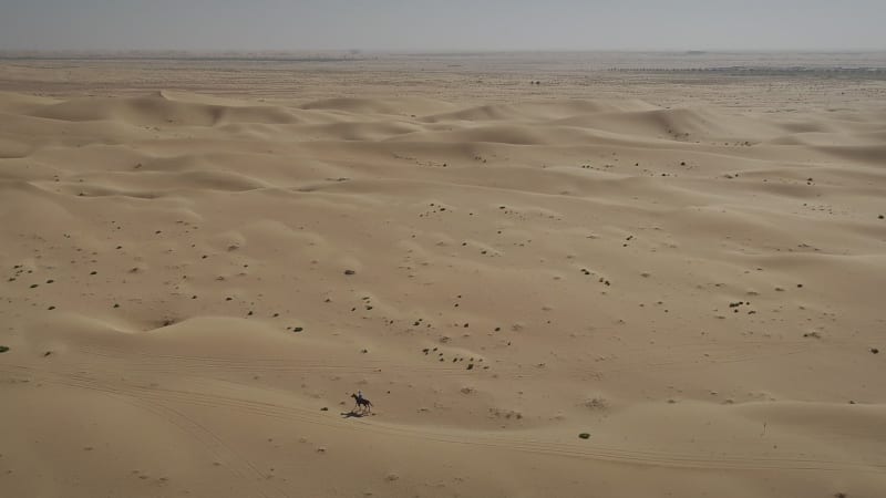 Aerial view of one person riding horse in the desert of Al Khatim.