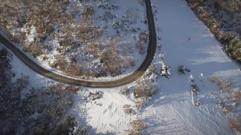 Aerial view of a car road surrounded by snow and pine trees.