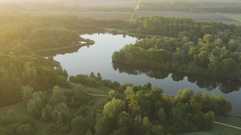 Aerial view of a stunning lake surrounded by forest