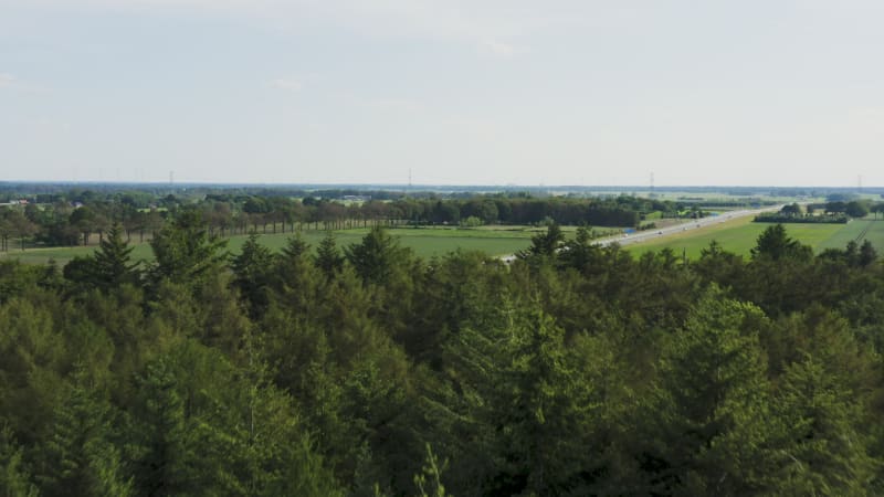 Reveal of Dutch highway over conifer tree tops