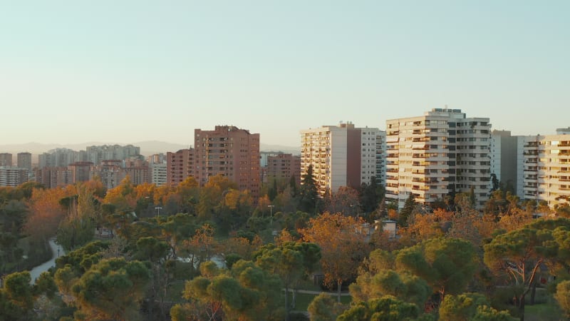 Rising footage of trees in park at housing estate. Apartment buildings in residential area of town. Autumn colour foliage on trees.