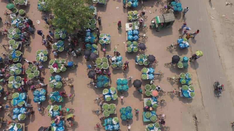 Aerial view of Mango market in Shibganj province, Bangladesh.