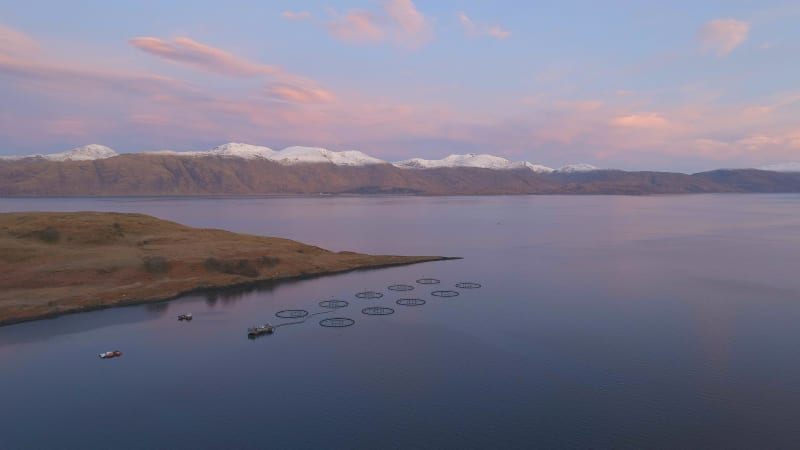 Pink Sunrise Over a Scottish Aquaculture Salmon Farm