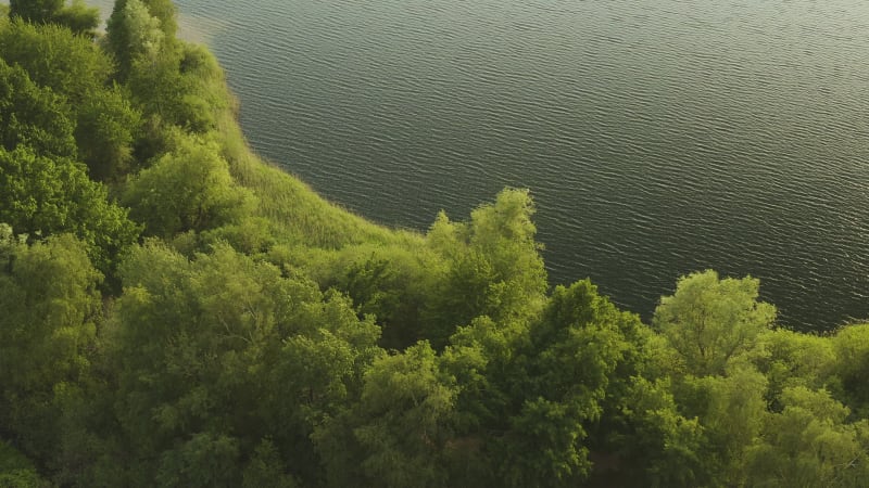 Aerial view of lake shore surrounded by green vegetation