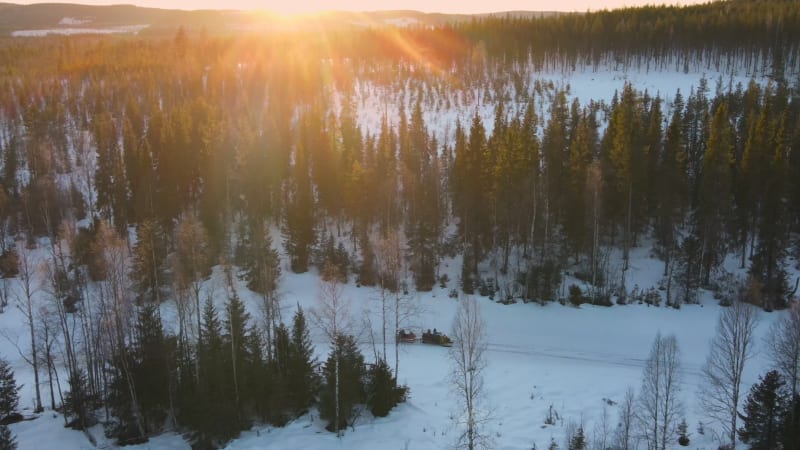 Aerial view of a forest with snow, Overtornea, Sweden.