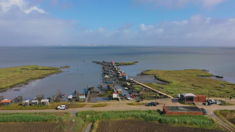 Aerial view of coastal wetlands near Longueira.