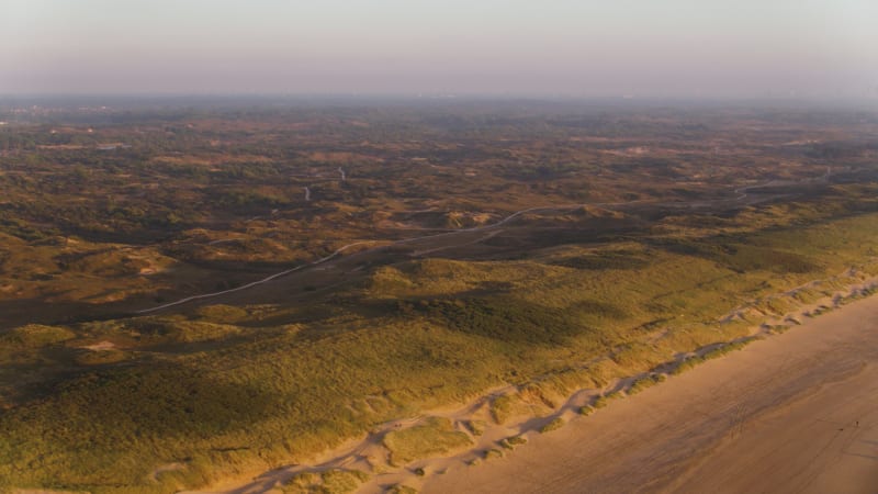 Journey Through Meijendel Dunes and Its Flora