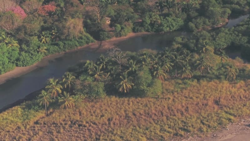 Playa Buena Vista Beach rainforest landscape, Guanacaste, Costa Rica. Aerial drone view