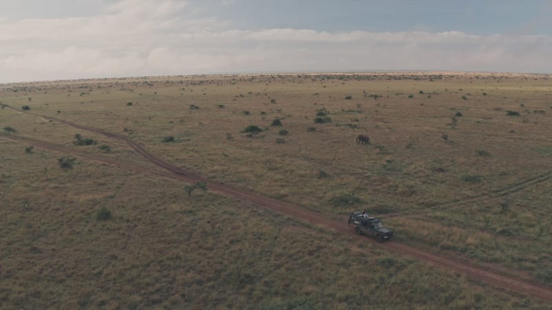 Elephant walking past safari vehicle in Kenya, Africa