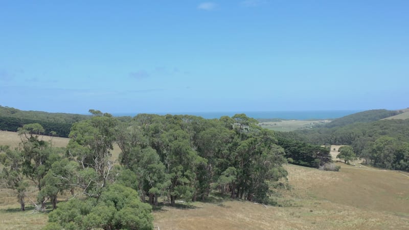 Australian Outback Farmland Aerial Flyover in the Summer