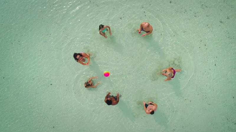 Aerial view of group of friends in swimwear.