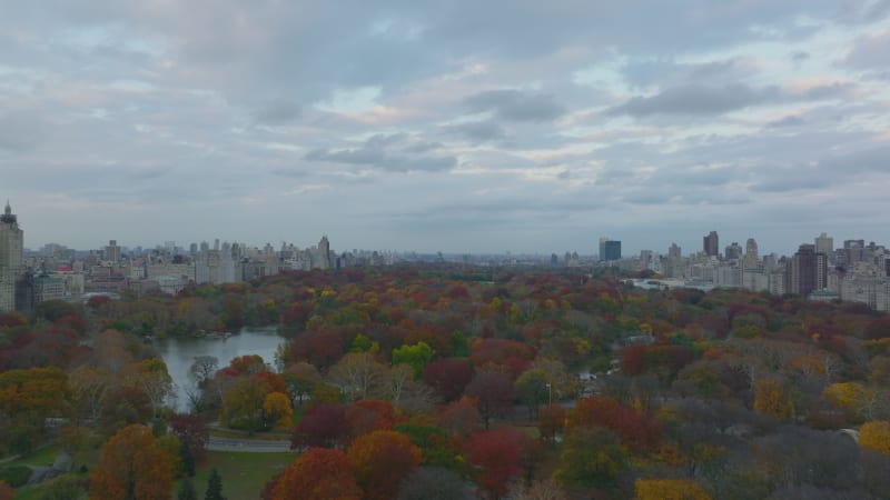 Fly above amazing colourful trees in Central park in autumn. Large urban park with lake and walkways. Manhattan, New York City, USA