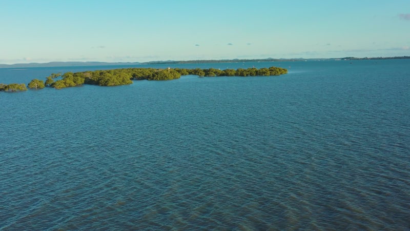 Aerial view of mangroves in Moreton Bay, Brisbane, Queensland, Australia.