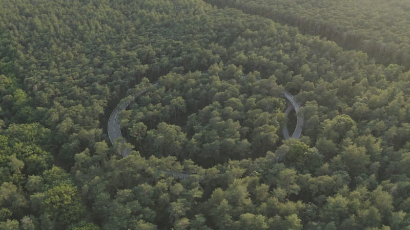 Aerial view of Fietsen door de Bomen, Hechtel-Eksel, Limburg, Belgium.