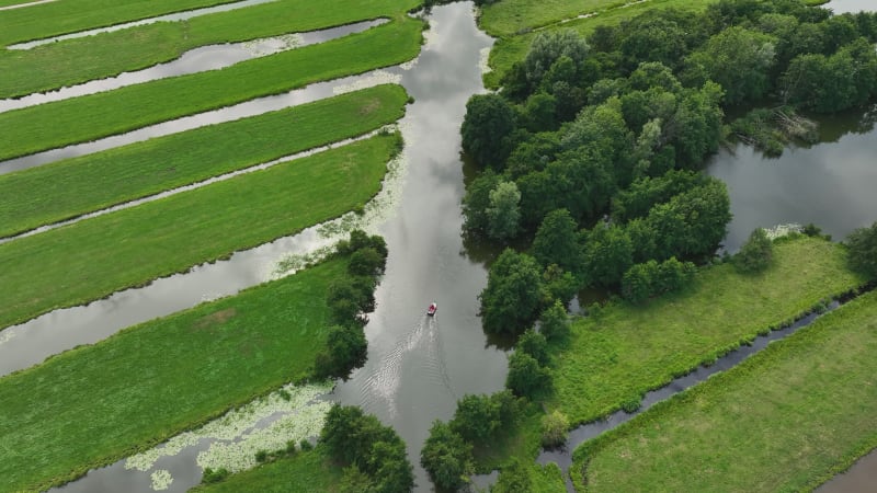 Krimpenerwaard Polder Landscape: Farms and Livestock