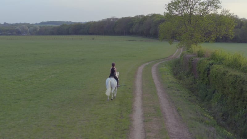 Girl Riding A White Horse in the Countryside