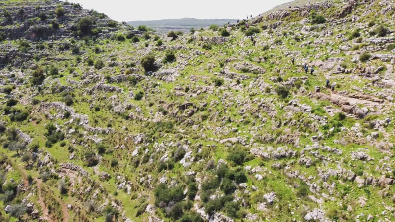 Aerial View of the landscape of the wooded hills and the paths, Bi'r Saricah.