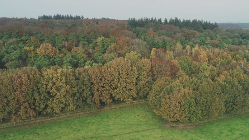 Aerial view of hills and autumn forest, Berg en Dal, Gelderland, Netherlands.