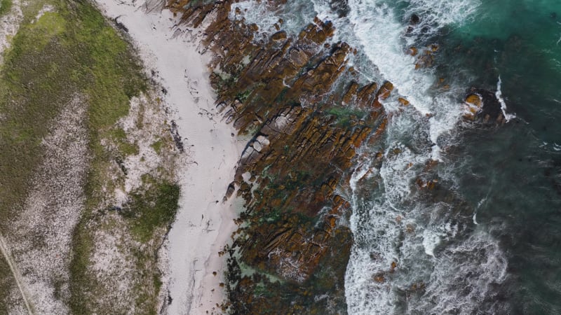 Aerial View of Cape Town's Sandy Beach and Greenery