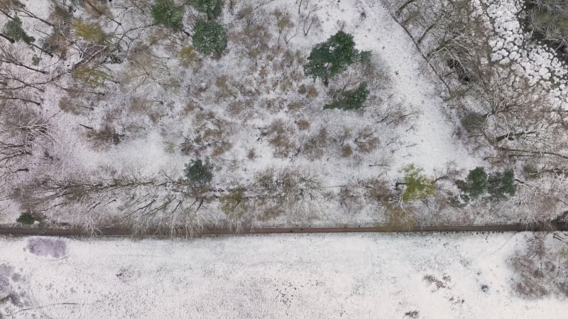 Aerial View of trees in nature area Witte Veen covered with snow, Netherlands.