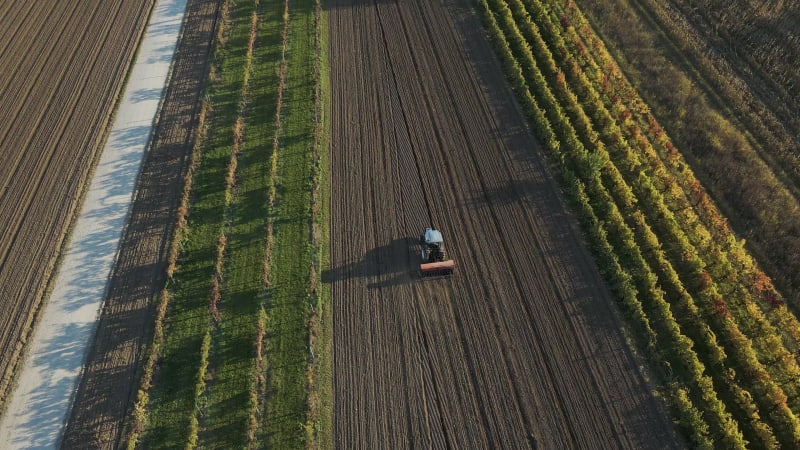 Aerial view of a tractor, Aquileia, Udine, Friuli Venezia Giulia, Italy.