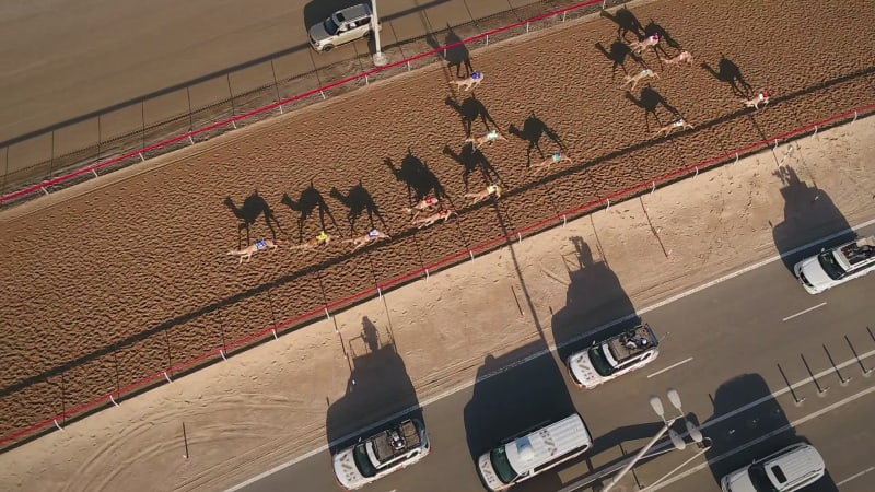 Aerial view of a group of camels during a race in the desert.