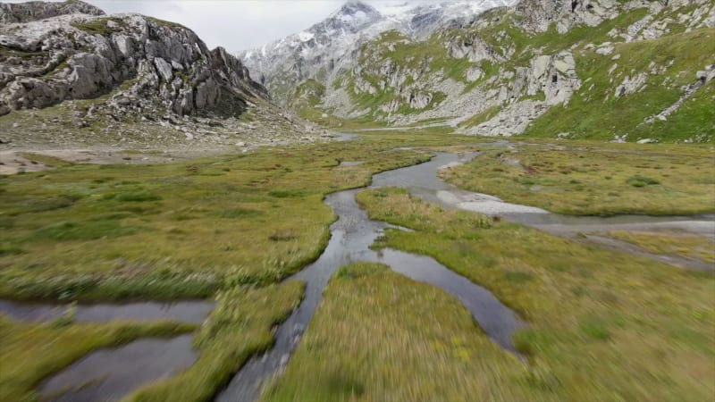 Aerial view of river in a grassy plain