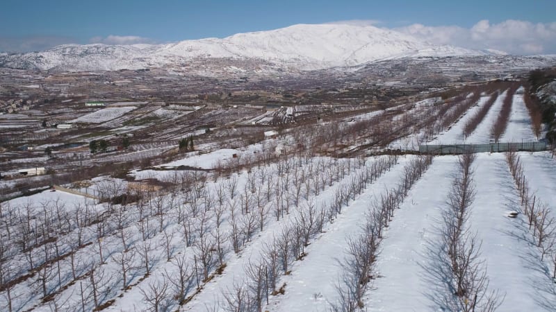 Aerial view of a dry vineyard in the snow, Golan Heights, Israel .