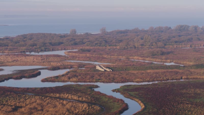 Dutch River Delta Ecosystem and Saturated Farmlands