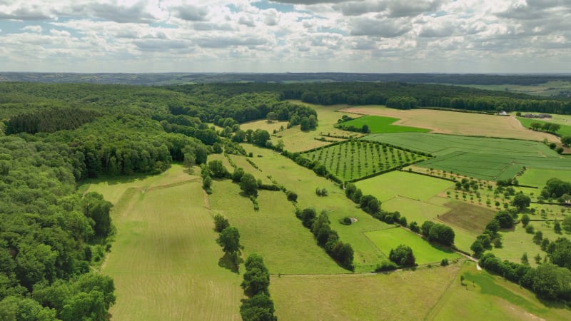 Aerial view of hilly countryside with fruit orchards, Zuid Limburg, Netherlands.