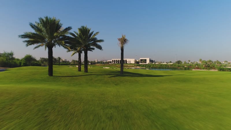 Aerial view of palm trees on luxury golf club.